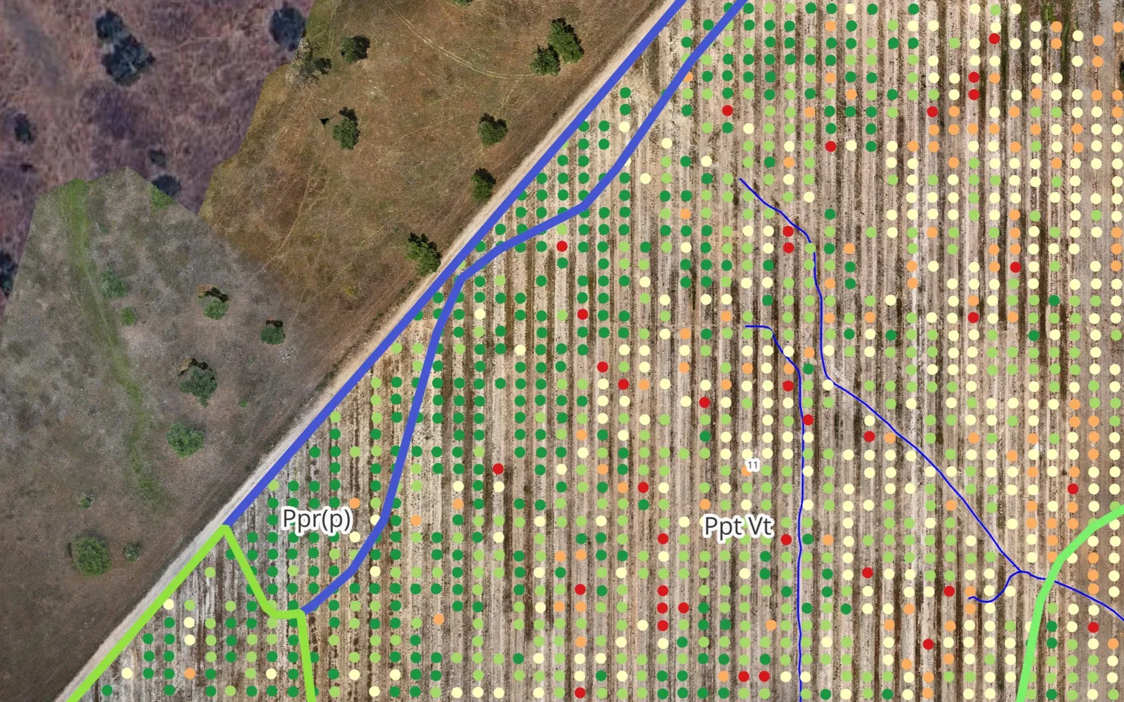 Output da plataforma Agro Analítica — análise de NDVI, carta de solos e rede de drenagem por parcela